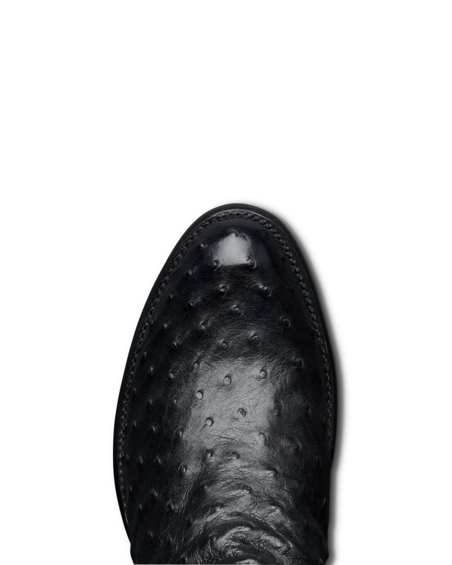 The Wyatt - Image 5